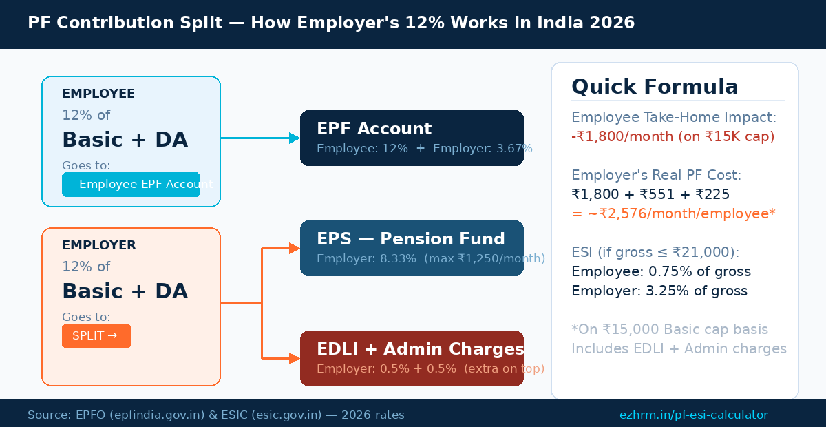 PF contribution split diagram showing how employer 12% is divided into EPF 3.67% and EPS pension 8.33% in India 2026